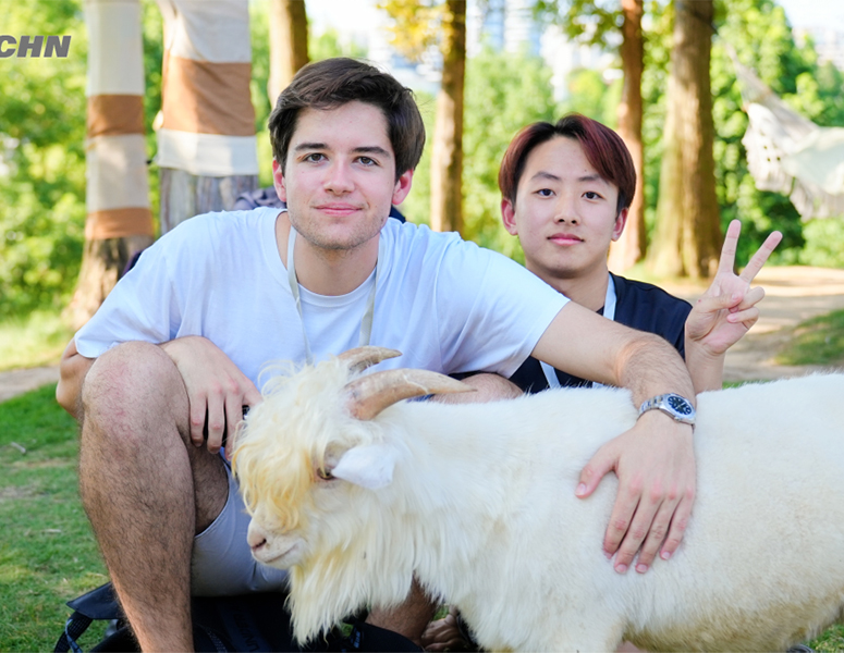 Community Experience